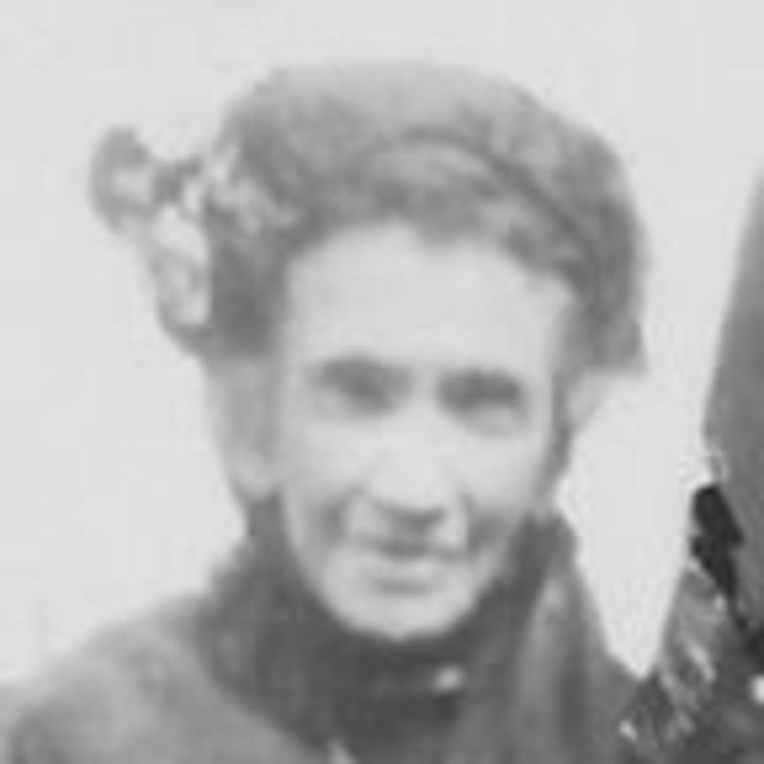 Ellen Brimley (1854 - 1931) Profile